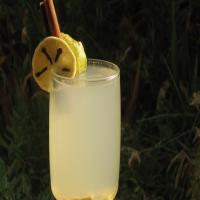 Spiced Lemonade image