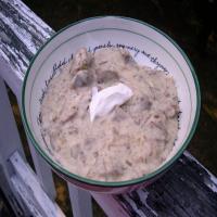 German Lamb in Sour Cream (Crock Pot) (Aka Treasure Trove #1)_image