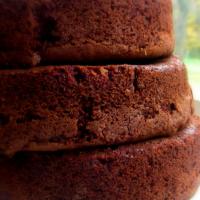 Deluxe Old-Fashioned Chocolate Cake Layers_image