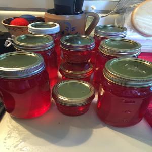 Red Bud Jelly_image
