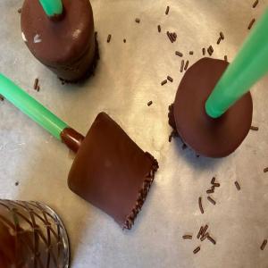 Mint Ice Cream Pops with Chocolate Shell_image