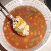 Campbell's Abc's Vegetarian Vegetable Soup image