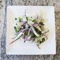 Fennel and Celery Salad_image