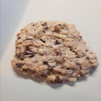 Lactation Cookies with Chocolate and Cranberries_image