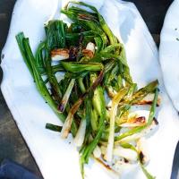 Charred spring onions image