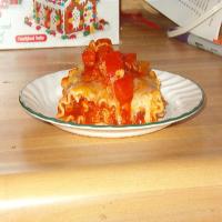 Chicken Enchilada Lasagna Bundles image