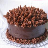 Elizabeth's Extreme Chocolate Lover's Cake image