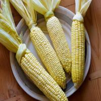 Oven Roasted Corn on the Cob image