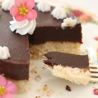 Gluten-Free Chocolate Cake with Coconut_image