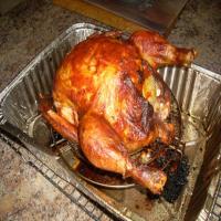 Grilled Roast Chicken_image
