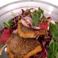 Seared Black Sea Bass with Bitter Greens, Fennel, Grapefruit and Feta Salad_image