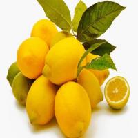 Lemon Slush with Orange Zest Refresher (HCG ok!) image