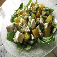 Chicken Salad With Nectarines in Mint Vinaigrette_image