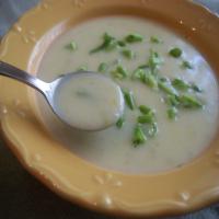 Cream of Scallion Soup image
