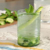 Cucumber-Mint Gin and Tonic image
