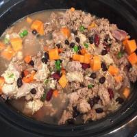 Healthy Dog Stew-Comfort food for your Fido!_image