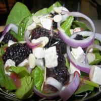 Spinach and Blackberry Salad - for One image
