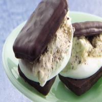 S'mores Chocolate Chip Ice-Cream Sandwiches_image