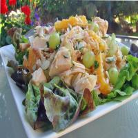 Cold Fruited Chicken Salad image