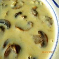 10 Minute Cream of Mushroom Soup image