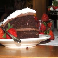 Anne of Green Gables Chocolate Goblin's Food Cake_image