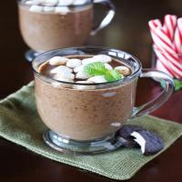 Peppermint Hot Chocolate {Made with Peppermint Patties}_image