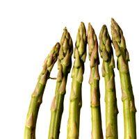 Asparagus in Mustard Sauce_image