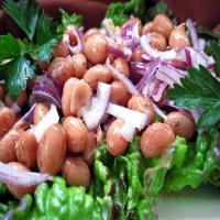 Tuscan Bean and Onion Salad_image