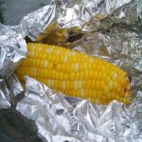 Roast Corn on the Cob_image