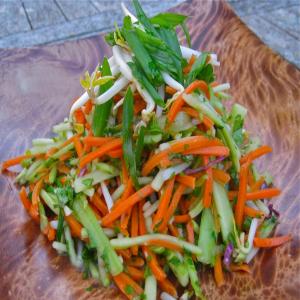 Vegan Carrot Broccoli and Bean Shoot Salad image