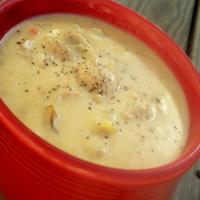 Golden Oyster Stew image
