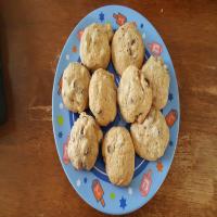 Passover Chocolate Chip Cookies image