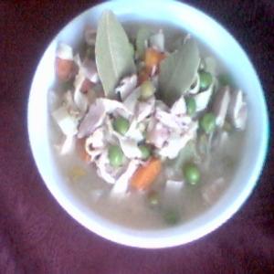 Crock Pot Chicken Noodle Soup_image