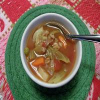 Country Garden Vegetable Soup by freda image