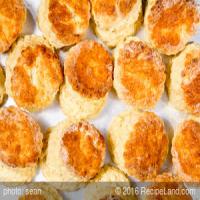 Mary Rogers's Sourdough Biscuits_image
