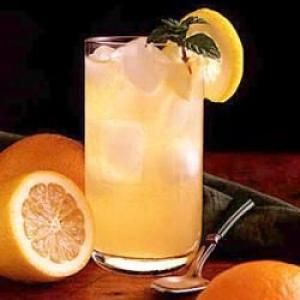 Citrus Mint Cooler_image