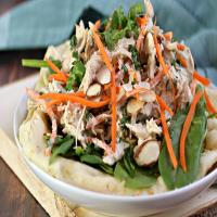 Crunchy Middle Eastern Chicken Salad Recipe_image
