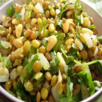 Salad of Lentils and Coriander_image
