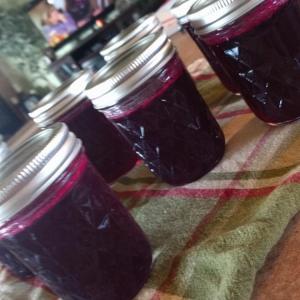 Prickly Pear Jelly image