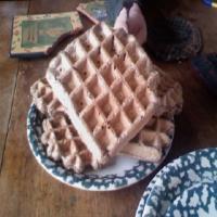 Sourdough Buckwheat Waffles_image