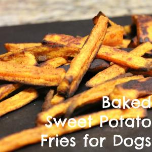 Sweet Potato Fries For Dogs_image