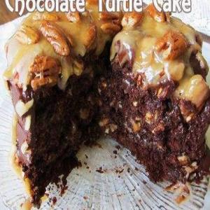 Easy Homemade Chocolate Turtle Cake_image