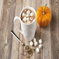 Pumpkin Spice-Hot Chocolate Mix image