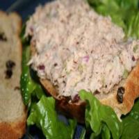 Tuna Salad Sandwich With Raisin Bread image