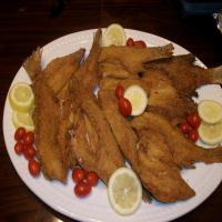 The Best Fried Fish Recipe Ever! image