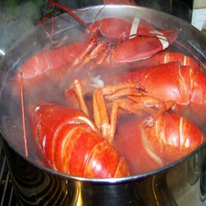 How to Boil a Lobster_image