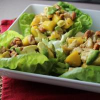 Chicken, Avocado and Mango Salad_image