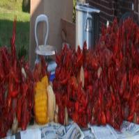 Joe's Spicy 40lb Bag Boiled Crawfish With Fixin's_image