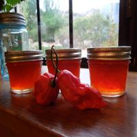 Ghost Pepper Jelly!_image