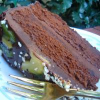 Triple D Fudge Cake_image